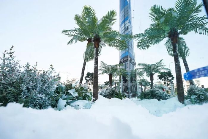 快閃店活動策劃暖了一生的陪伴，用一場22度的雪體驗了白頭到老