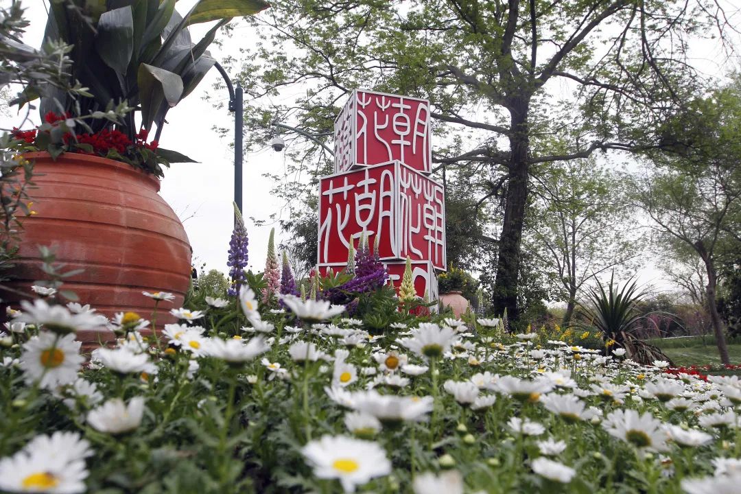亂花漸欲迷人眼，全新西溪花朝節(jié)展覽活動(dòng)與你來一場春天的約會(huì)