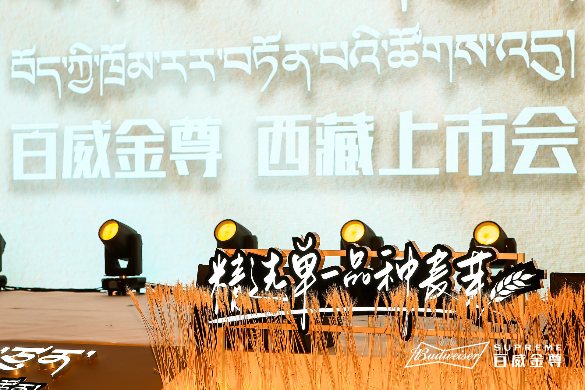 百威金尊西藏上市發(fā)布會活動策劃用心定制，現(xiàn)場麥芽裝飾盡享豐收
